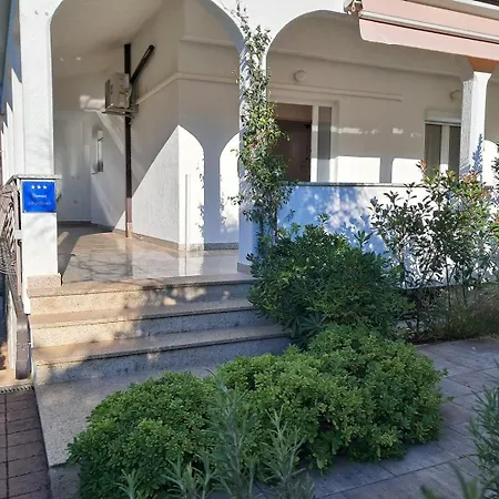 Complex Kampic פורץ